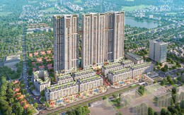 Nghịch lý cung cầu của thị trường căn hộ đầu năm 2019