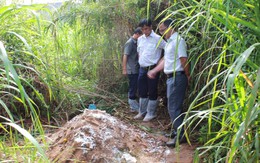 Dân phản đối chôn lấp heo bệnh cạnh khu dân cư