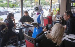 Một nhà hàng Italy sử dụng robot làm nhân viên phục vụ bàn