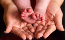 Telegraph: Hơn 6 triệu người Anh nhận nhầm cha ruột