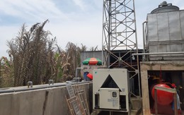 Tháo chạy sau tiếng nổ khí gas, quay lại vườn tược xanh tươi đã chết héo