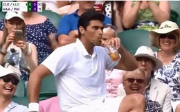 Khoảnh khắc siêu hài, Philippoussis 'cướp' ly trà đào của khán giả ở Wimbledon 2019