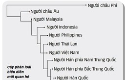 Mơ ước 'lá tử vi sinh học'