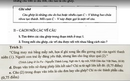 Tranh luận câu đơn câu ghép như Hư Trúc và Đoàn Dự trò chuyện thôi!