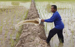 Thái Lan yêu cầu Trung Quốc, Lào, Myanmar xả nước chống hạn ở Mekong