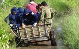 Trở về đất mẹ - Kỳ 5: Chạy đua với thời gian