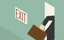 Thay việc như thay áo vì... bốc đồng, nghĩ lại 'thấy xấu hổ'