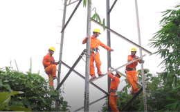 Video: Hàng loạt thanh giằng chịu lực trụ điện cao thế bị đánh cắp