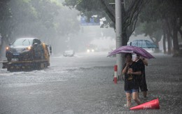 Bão Lekima vào Trung Quốc: Hơn 1 triệu người sơ tán, 13 người chết