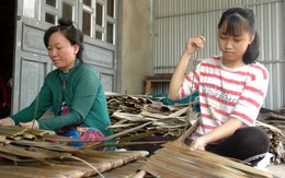 Sự sống mong manh, vẫn 'băng qua' trúng tuyển cao đẳng y