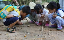 Cho con chạm vào thiên nhiên