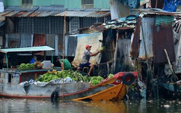 Khát vọng lên bờ...