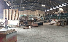 Hồi hương vì những điều tốt đẹp