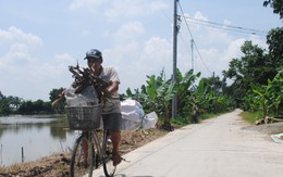 Quê nhà Lai Vung tiếc thương đại tá phi công Nguyễn Văn Bảy