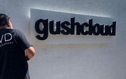 GushClould International công bố nhận khoản đầu tư 11 triệu USC