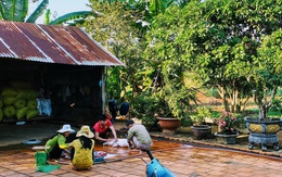 10 năm 'ở trọ Sài Gòn', lịch tết của tôi không thay đổi: về với vườn rau của mẹ