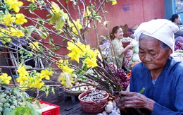 Tết là đây, con đã về với mẹ, sau 20 năm...