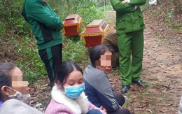 Phát hiện hai người đàn ông chết trong bìa rừng sáng mùng 5 tết