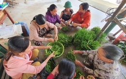 Người dân góp gạo, gà vịt nấu cơm cho lực lượng cứu hộ thủy điện Rào Trăng 3