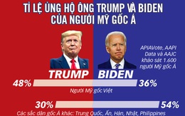 Cử tri Mỹ gốc Việt bỏ phiếu cho Trump hay Biden?