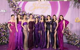 'Ngàn sao' hội tụ tại sự kiện ra mắt đại sứ thương hiệu Go Spring
