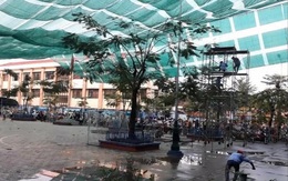 Một trường ở TP.HCM cho học sinh nghỉ học vì ảnh hưởng dông lốc