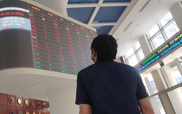 Dùng đến 29 tài khoản để thao túng cổ phiếu của một công ty, bị phạt 600 triệu đồng