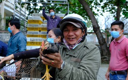 Trao con giống tái tạo sản nghiệp