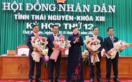 Thái Nguyên: tân chủ tịch HĐND, UBND tỉnh đều thuộc thế hệ 7x