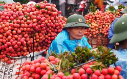 Trung Quốc không còn là thị trường xuất khẩu nông sản lớn nhất của Việt Nam