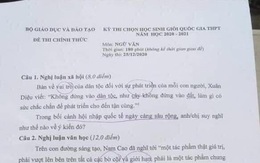 Đề thi học sinh giỏi văn quốc gia: Giáo viên có ý kiến trái chiều