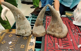 Hải quan TP.HCM tăng thu từ thuế phòng vệ thương mại