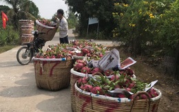 Ngân hàng giảm lãi vay cho khách hàng thiệt hại do dịch corona