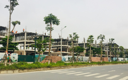 Cảnh báo rủi ro doanh nghiệp bất động sản phát hành trái phiếu