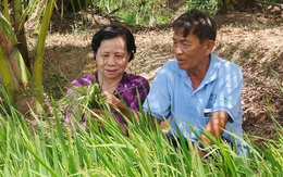 Con cái hòa thuận,  cha mẹ ngủ rất ngon