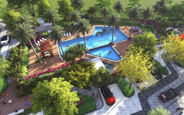 Có gì lạ tại Picity High Park?