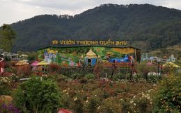 Phó thủ tướng chỉ đạo xử lý vụ 'vườn thượng uyển' không phép