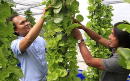 'Nông trại trên cao' của chàng thạc sĩ