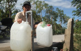 Hạn mặn 'lên đỉnh', 80.000ha cây ăn trái nguy cơ bị ảnh hưởng nghiêm trọng