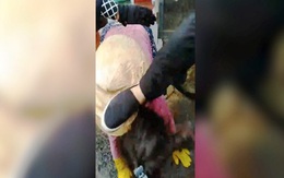 Nhân viên trật tự chợ đạp vào đầu tiểu thương vì ngồi không đúng chỗ