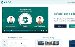 Xu hướng chuyên biệt hóa và website 'đẹp' dành riêng cho môi giới