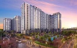 Cú hích từ hạ tầng tiếp tục tạo sóng cho bất động sản