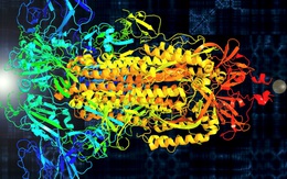 Biến virus SARS-CoV-2 thành âm nhạc để hỗ trợ nghiên cứu