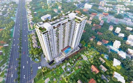 Căn hộ cao cấp - Cơn khát chưa được giải tỏa của giới chuyên gia tại Bình Dương
