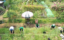 'Khó thở' giữa bêtông phố thị