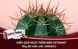 Chữa bệnh khó nói không khó