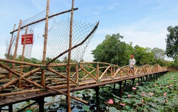 'Hồi sinh' thắng cảnh hồ Tịnh Tâm - Trồng lại sen trắng Huế