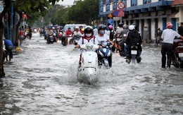 Bệnh sốt xuất huyết: đừng mất cảnh giác khi mùa mưa vào cao điểm