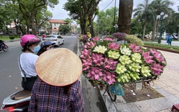 Người Hà Nội ‘hít hà’ không khí dịu mát sau những ngày ‘như thiêu như đốt’