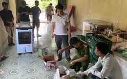 Đánh bả chứa chất độc xyanua để trộm chó, mèo